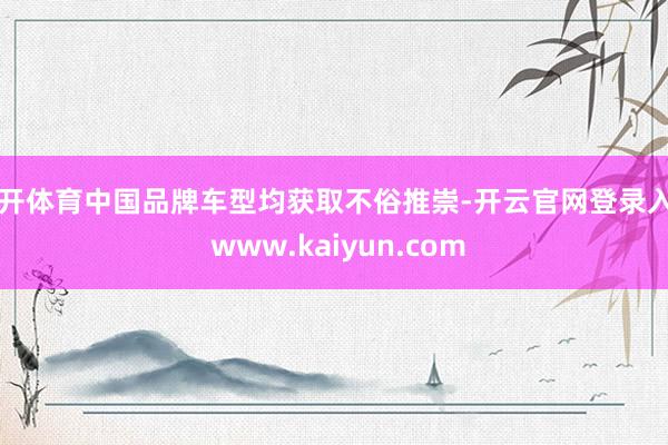 云开体育中国品牌车型均获取不俗推崇-开云官网登录入口 www.kaiyun.com